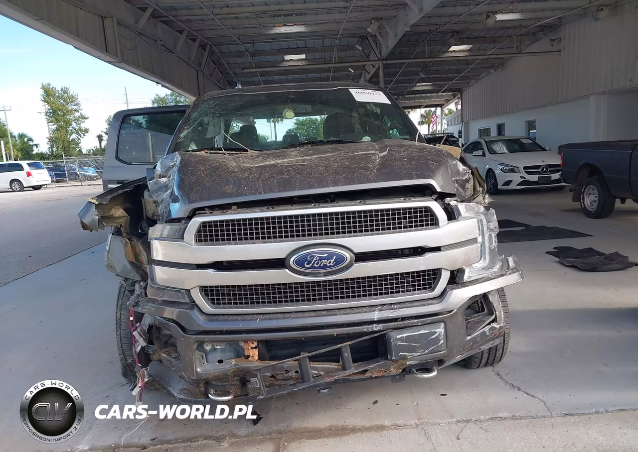 2020 Ford F-150 Platinum VIN:1FTEW1E48LFC79320 - 11