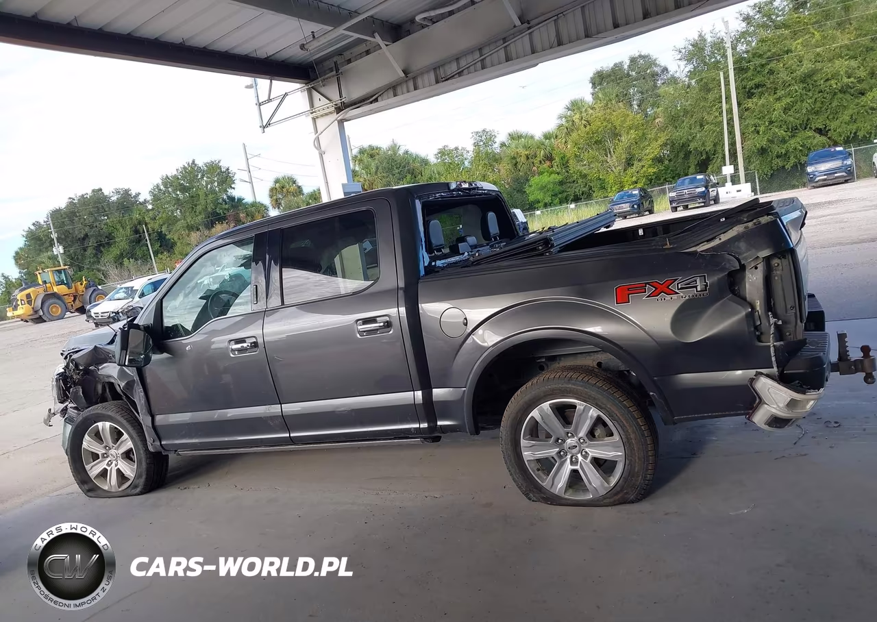 2020 Ford F-150 Platinum VIN:1FTEW1E48LFC79320 - 13