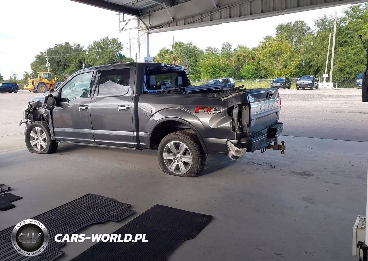 2020 Ford F-150 Platinum VIN:1FTEW1E48LFC79320 - 3