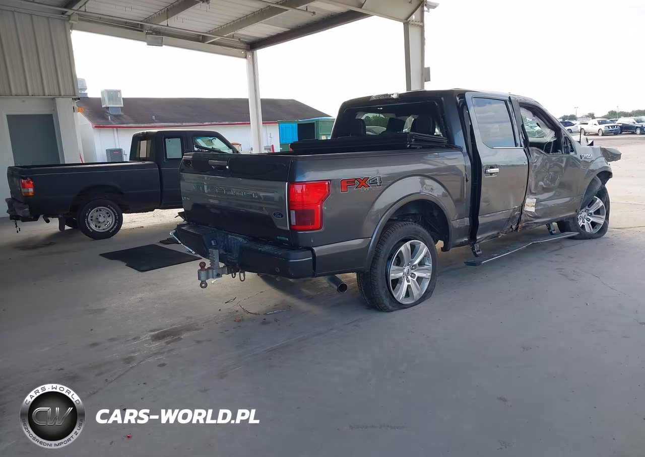 2020 Ford F-150 Platinum VIN:1FTEW1E48LFC79320 - 4