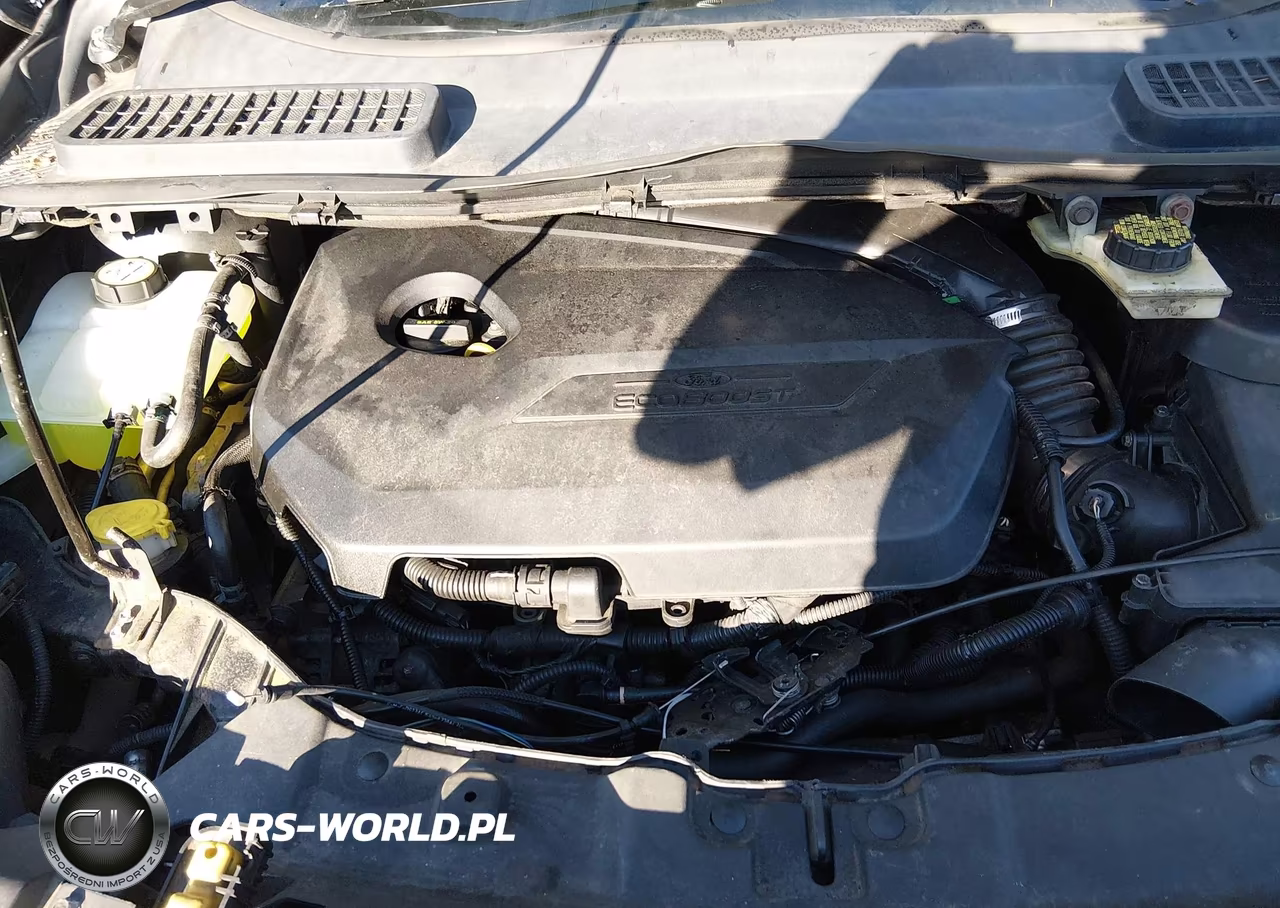 2014 Ford Escape Se VIN:1FMCU9GX1EUA57098 - 10
