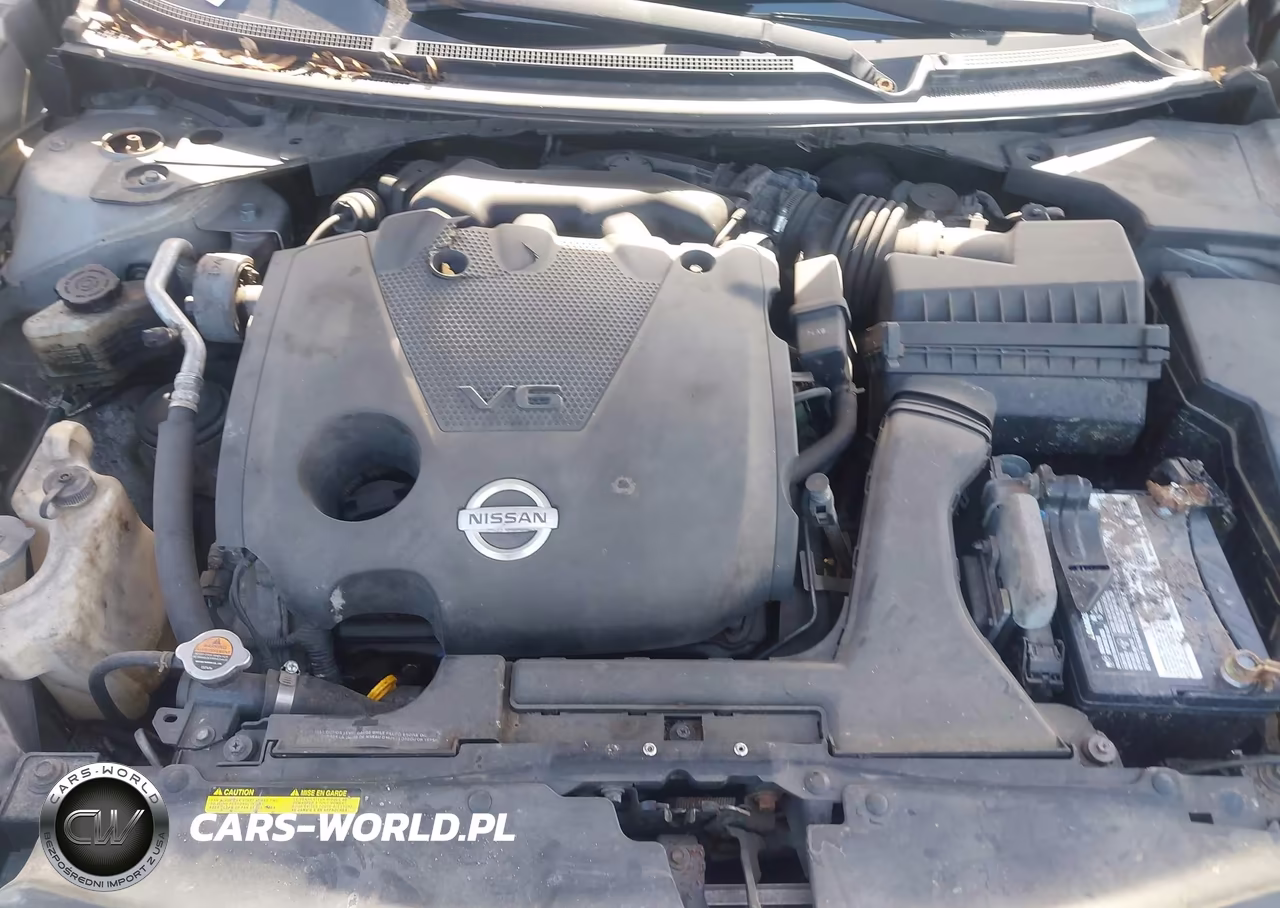 2009 Nissan Maxima 3.5 S VIN:1N4AA51E99C841194 - 10