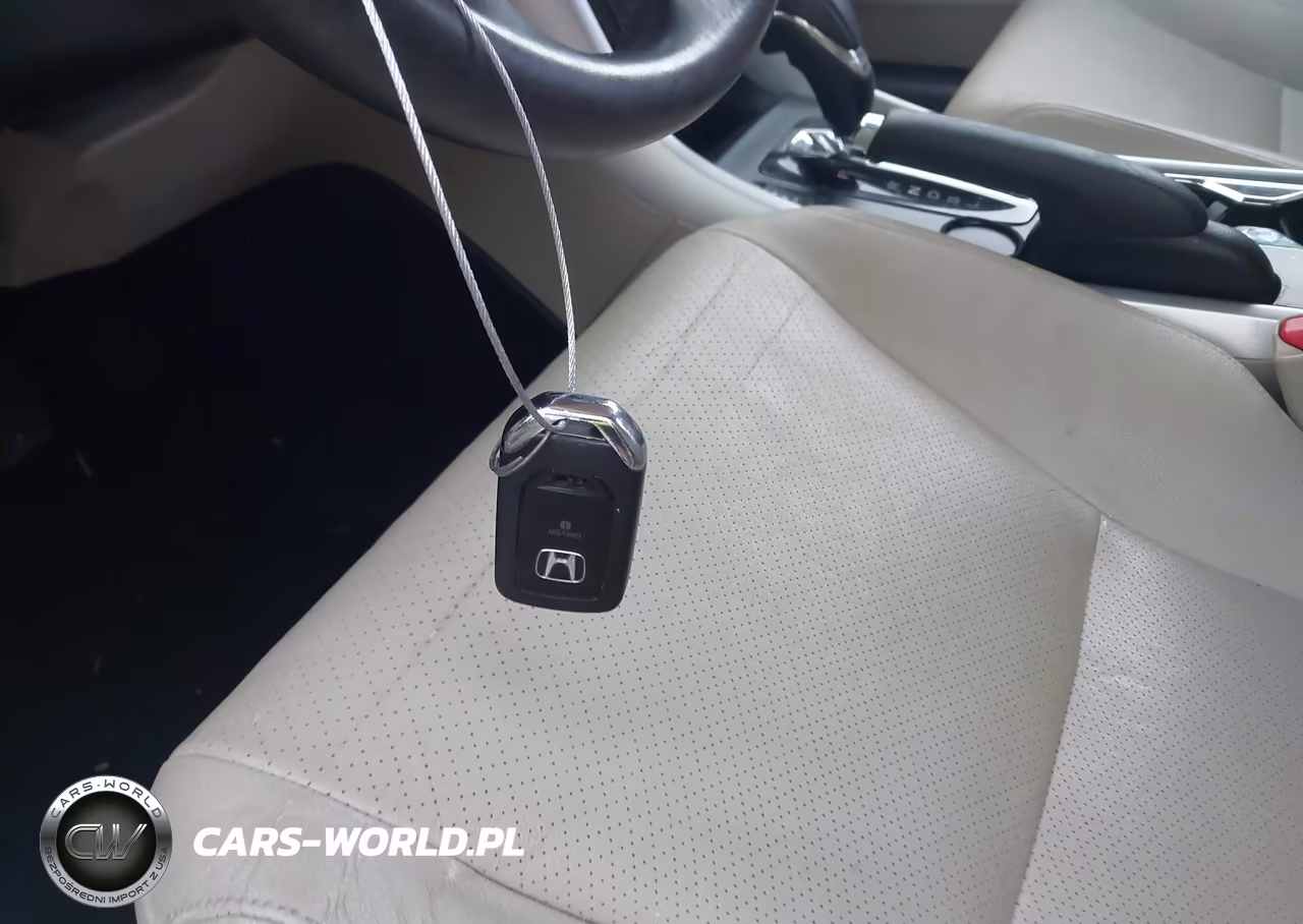 2013 Honda Accord Ex-L VIN:1HGCR2F83DA175243 - 11