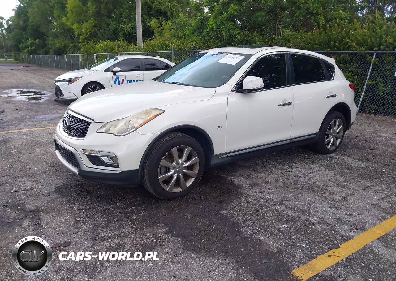 2017 Infiniti Qx50 VIN:JN1BJ0RP9HM385457 - 2