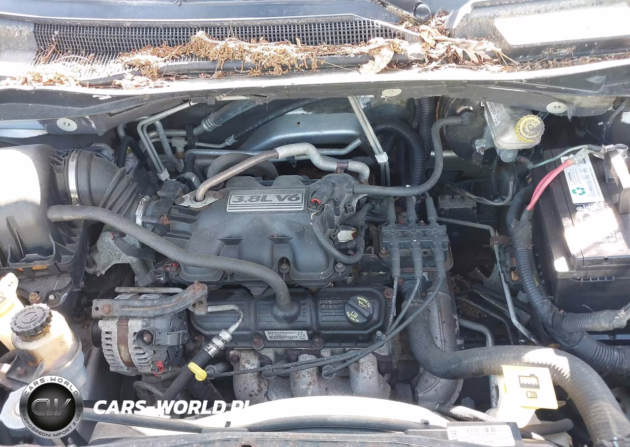 2009 Dodge Grand Caravan Sxt VIN:2D8HN54199R564559 - 10