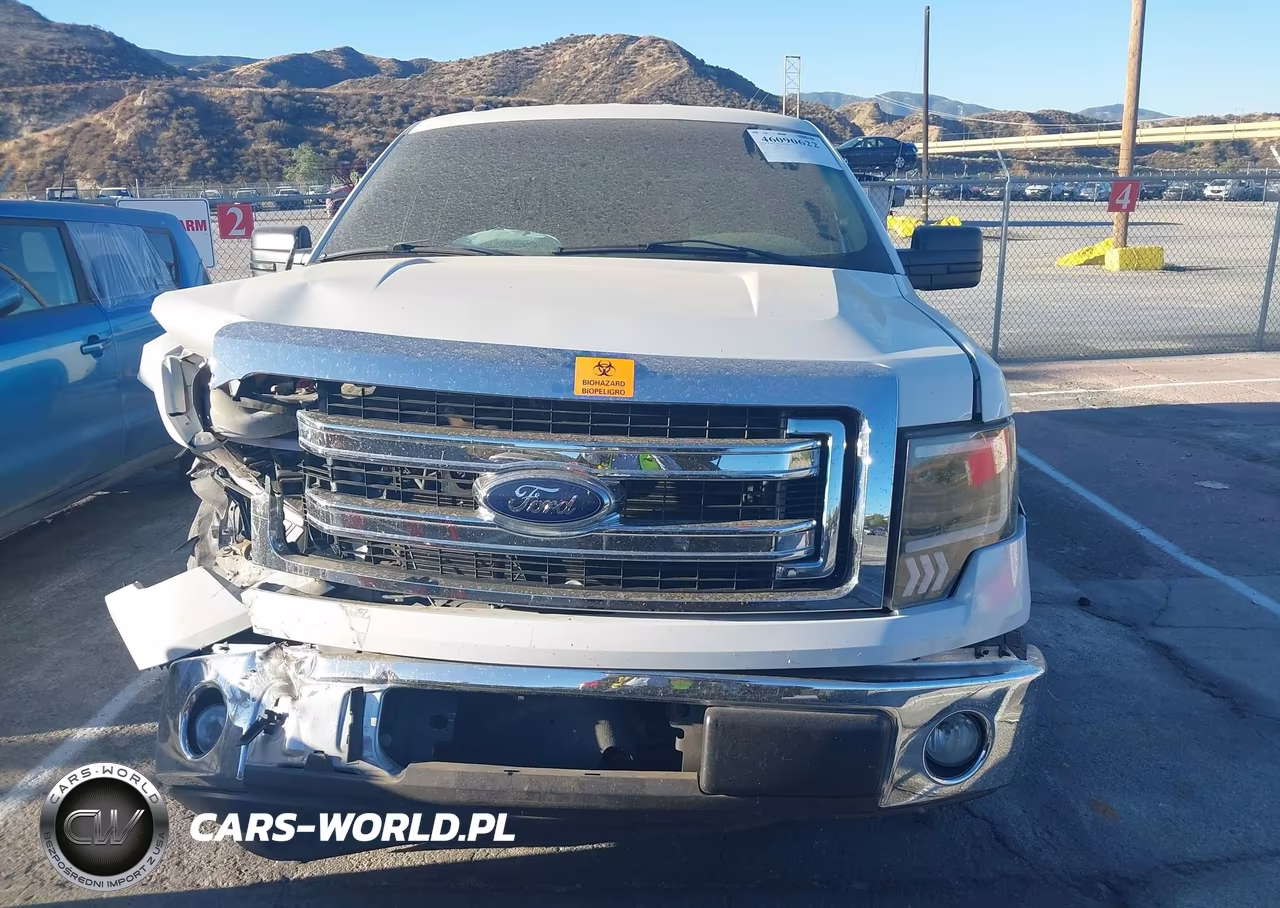 2013 Ford F-150 Xlt VIN:1FTFX1CF6DKG52160 - 12