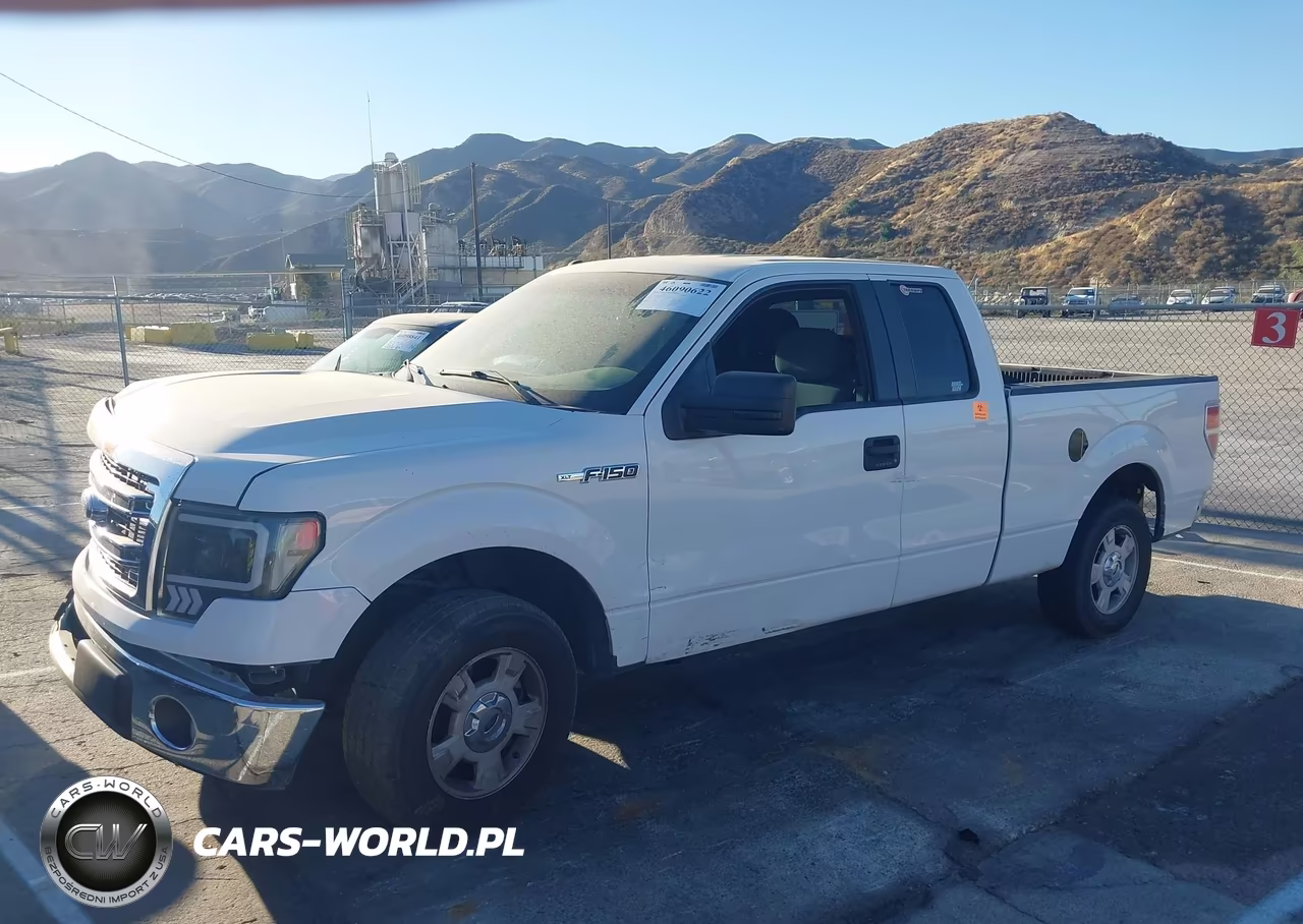 2013 Ford F-150 Xlt VIN:1FTFX1CF6DKG52160 - 14