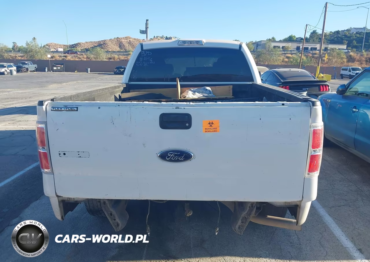 2013 Ford F-150 Xlt VIN:1FTFX1CF6DKG52160 - 16