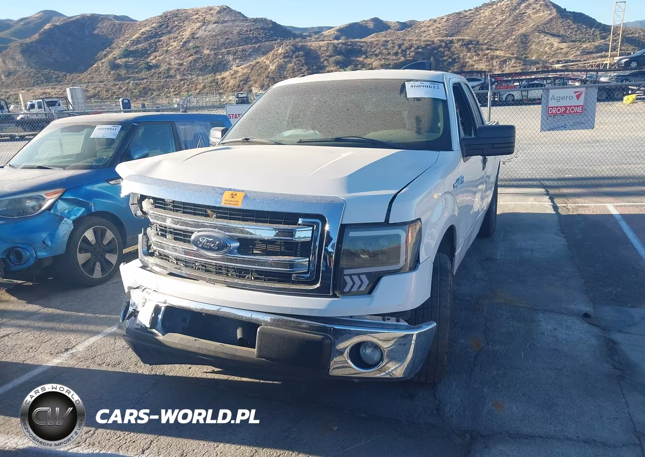 2013 Ford F-150 Xlt VIN:1FTFX1CF6DKG52160 - 2