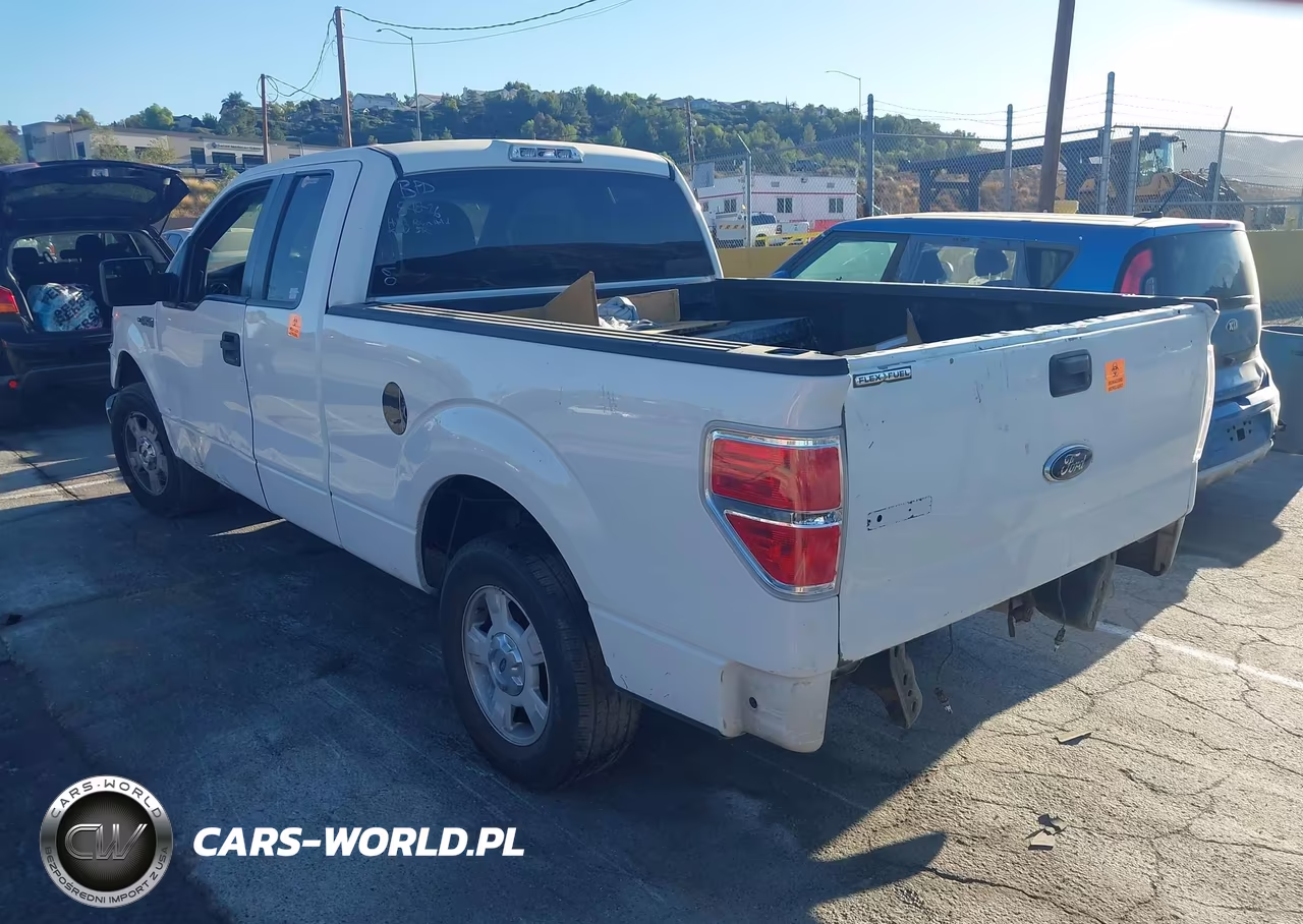 2013 Ford F-150 Xlt VIN:1FTFX1CF6DKG52160 - 3
