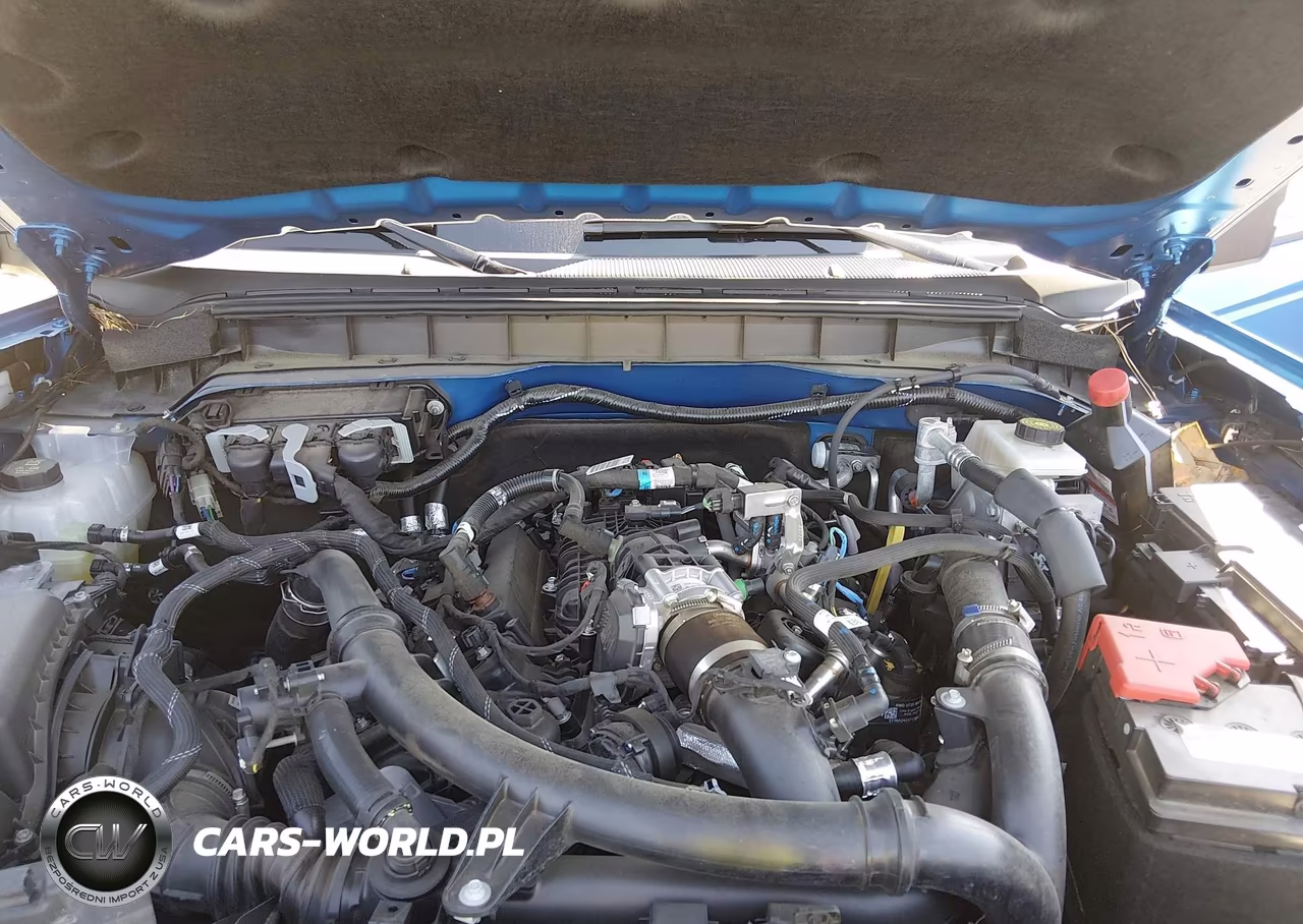 2024 Ford Bronco Wildtrak VIN:1FMEE2BP4RLA96557 - 10