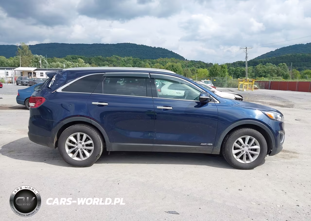 2018 Kia Sorento 3.3L Lx VIN:5XYPGDA59JG416524 - 13