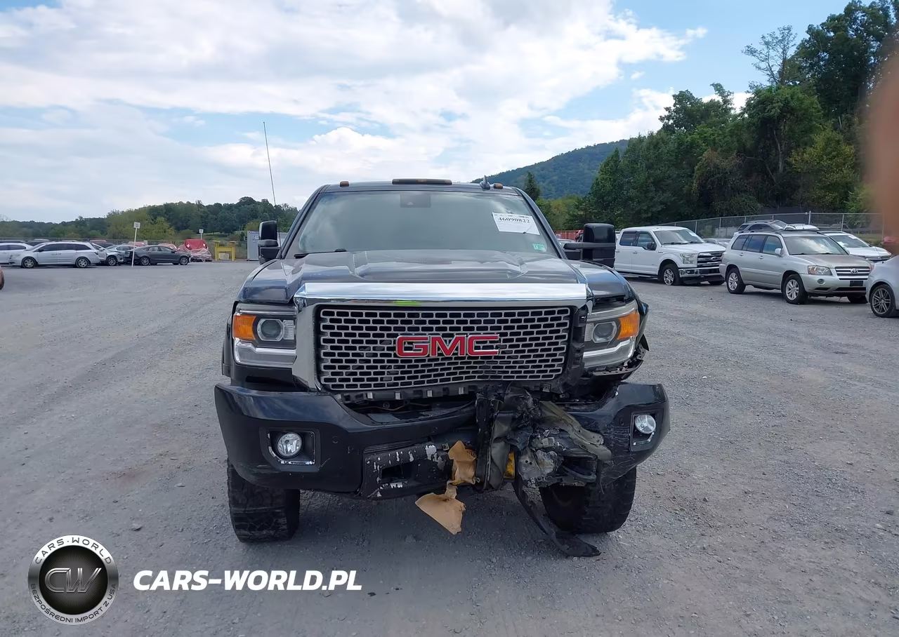 2017 GMC Sierra 2500Hd Denali VIN:1GT12UEG3HF110223 - 13