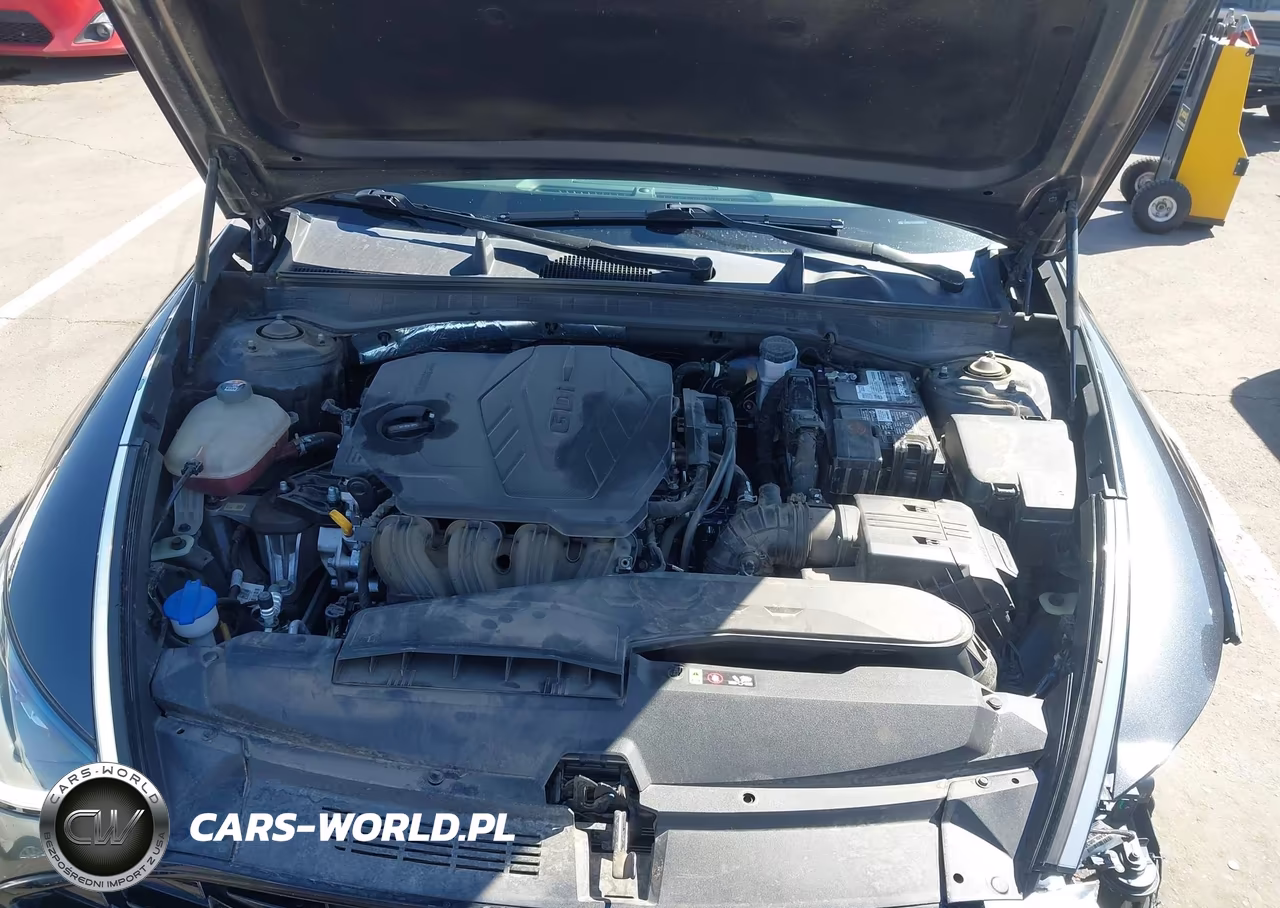 2020 Hyundai Sonata Sel VIN:5NPEL4JA1LH046505 - 10