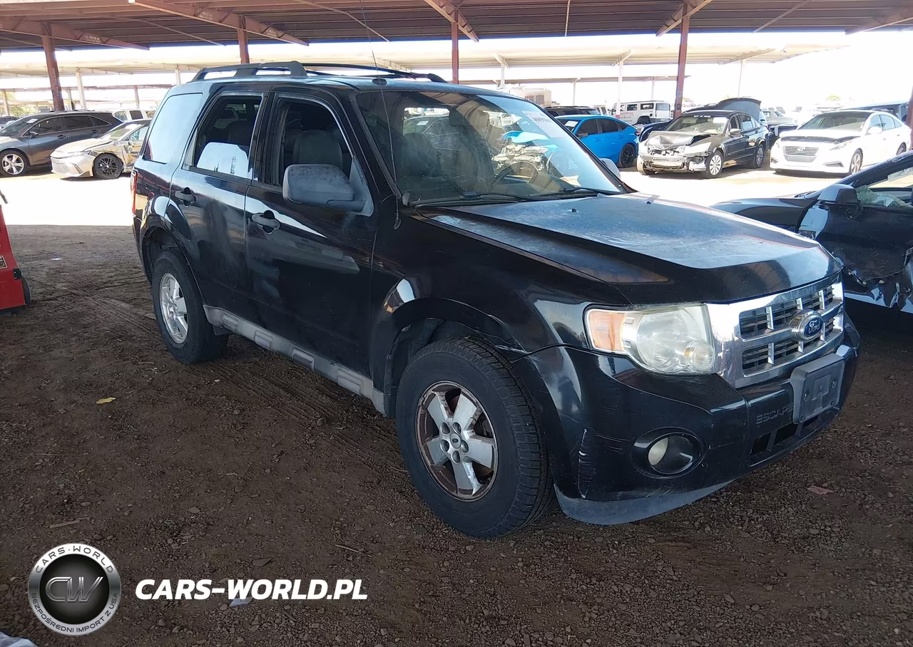 2010 Ford Escape Xlt