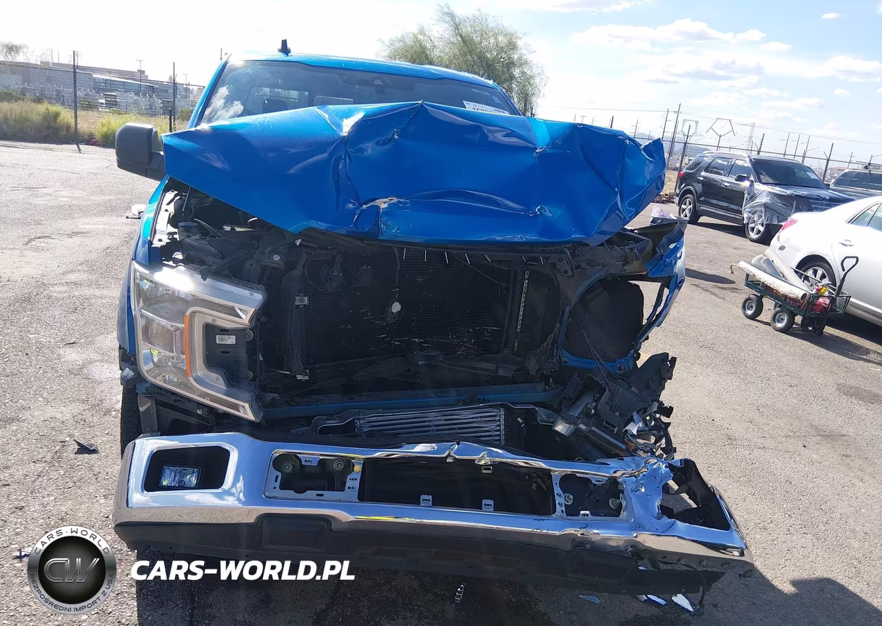 2019 Ford F-150 Xlt VIN:1FTEW1CP5KKF28949 - 12