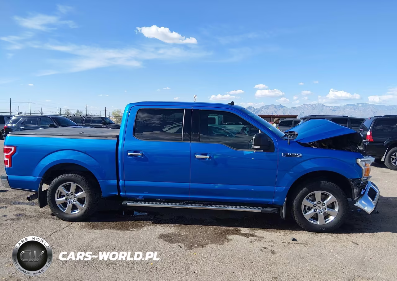 2019 Ford F-150 Xlt VIN:1FTEW1CP5KKF28949 - 13