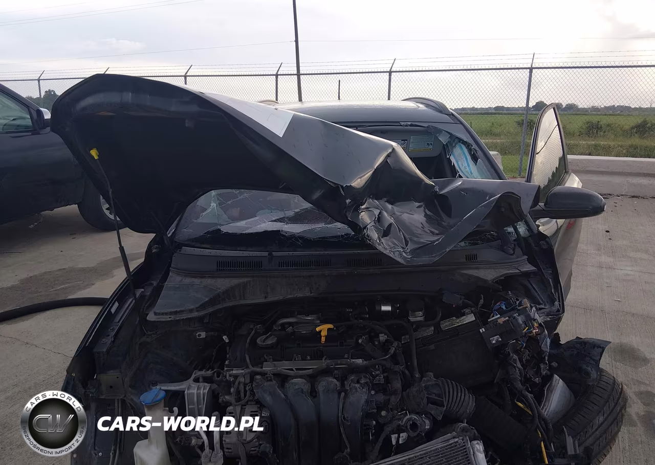 2018 Hyundai Kona Sel VIN:KM8K62AA1JU102584 - 10