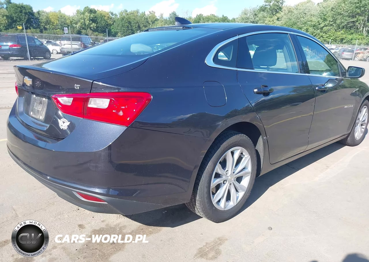 2023 Chevrolet Malibu Fwd 1Lt VIN:1G1ZD5ST8PF116708 - 4