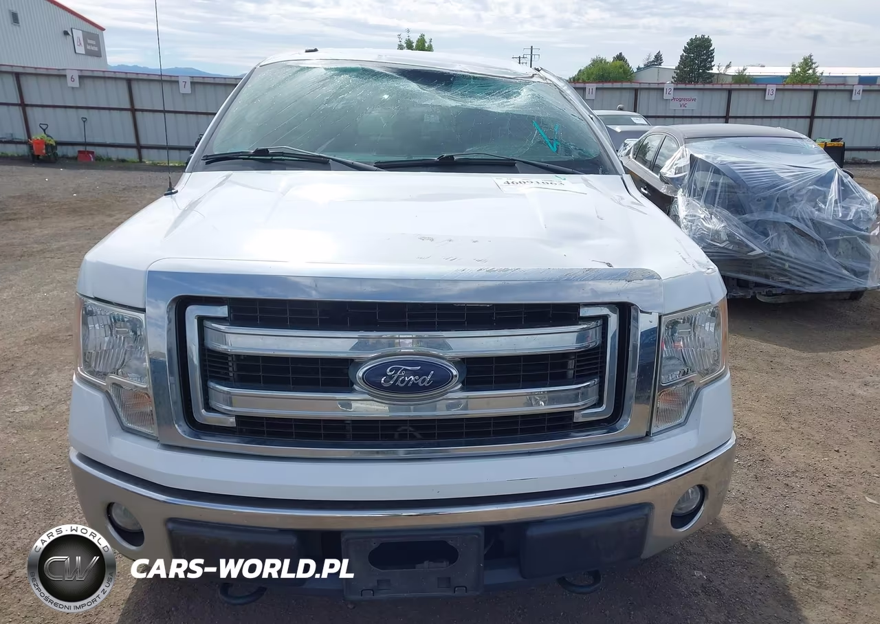 2014 Ford F-150 Xlt VIN:1FTFX1EF5EFB19904 - 12