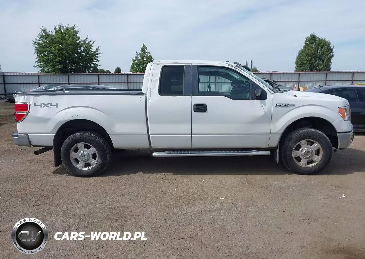2014 Ford F-150 Xlt VIN:1FTFX1EF5EFB19904 - 13