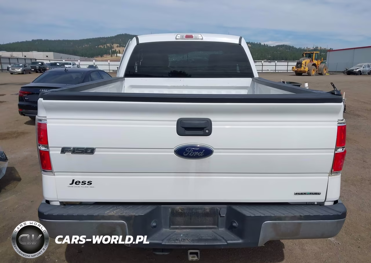 2014 Ford F-150 Xlt VIN:1FTFX1EF5EFB19904 - 16