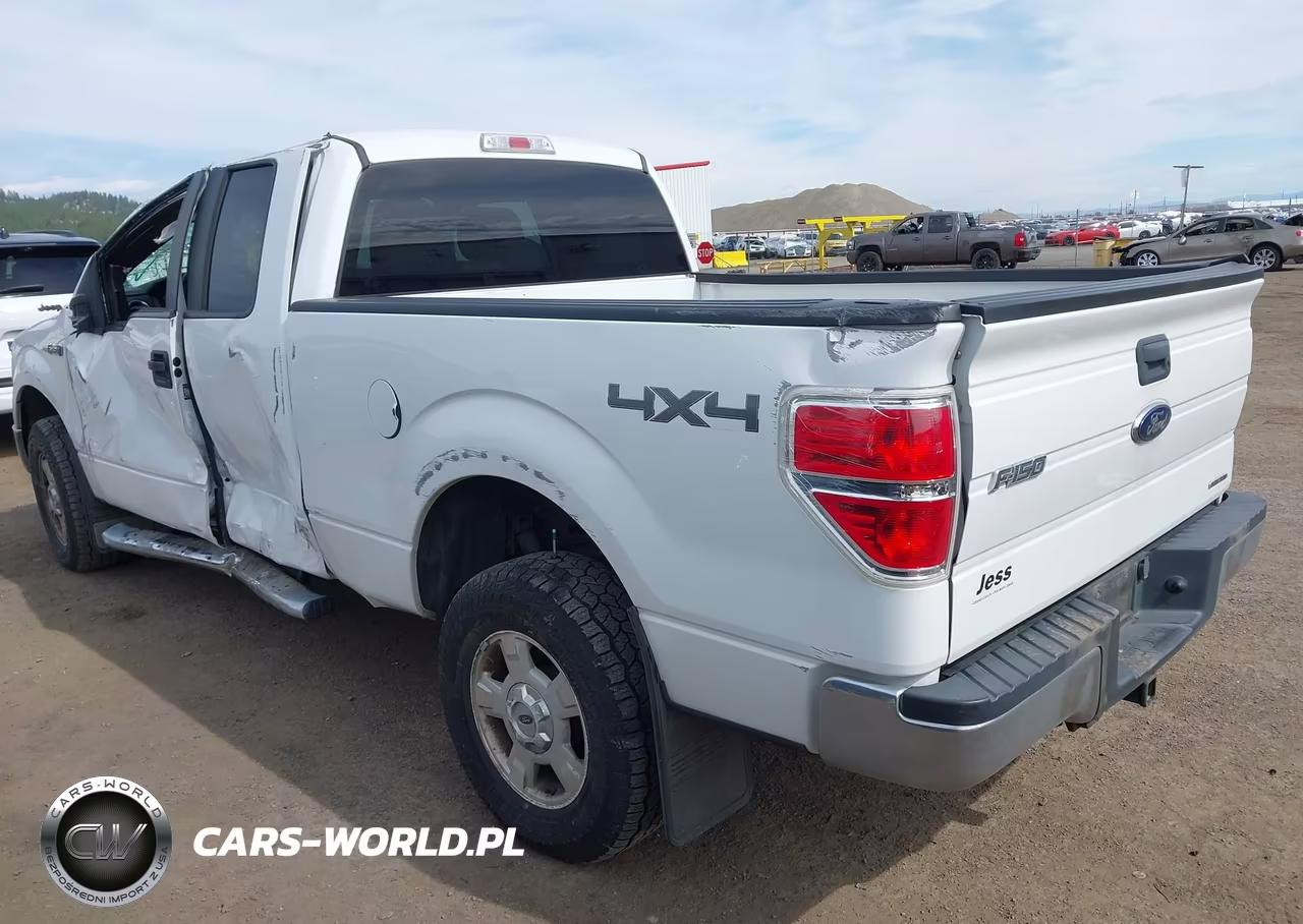 2014 Ford F-150 Xlt VIN:1FTFX1EF5EFB19904 - 3