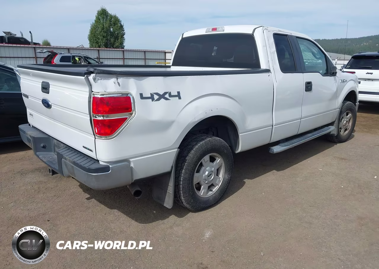 2014 Ford F-150 Xlt VIN:1FTFX1EF5EFB19904 - 4