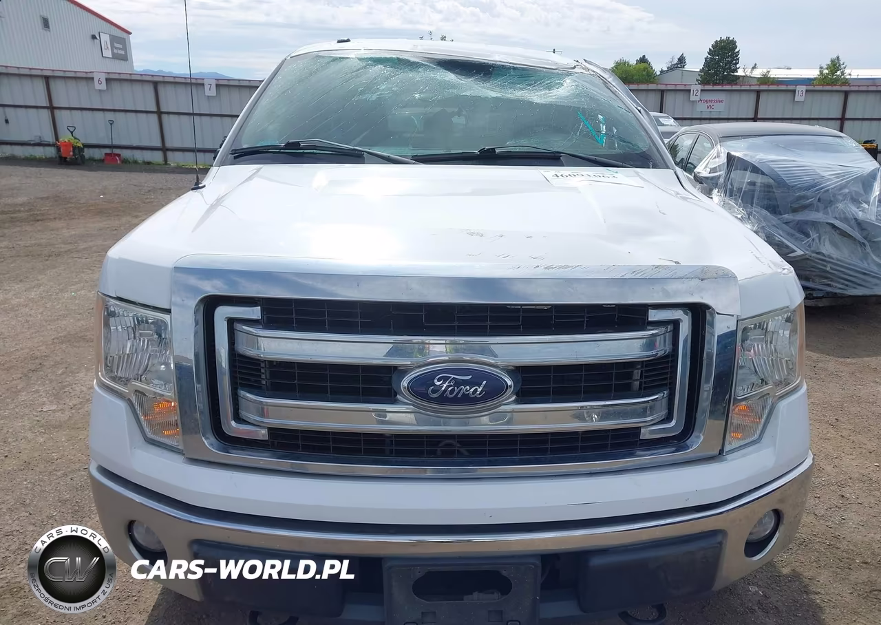 2014 Ford F-150 Xlt VIN:1FTFX1EF5EFB19904 - 6