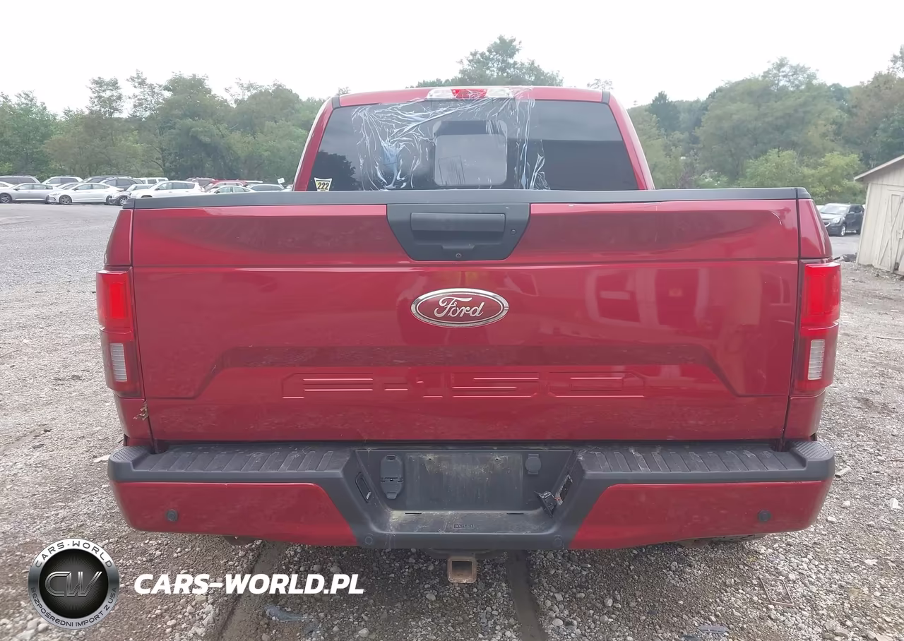 2019 Ford F-150 Xlt VIN:1FTEW1EP7KFB44497 - 16