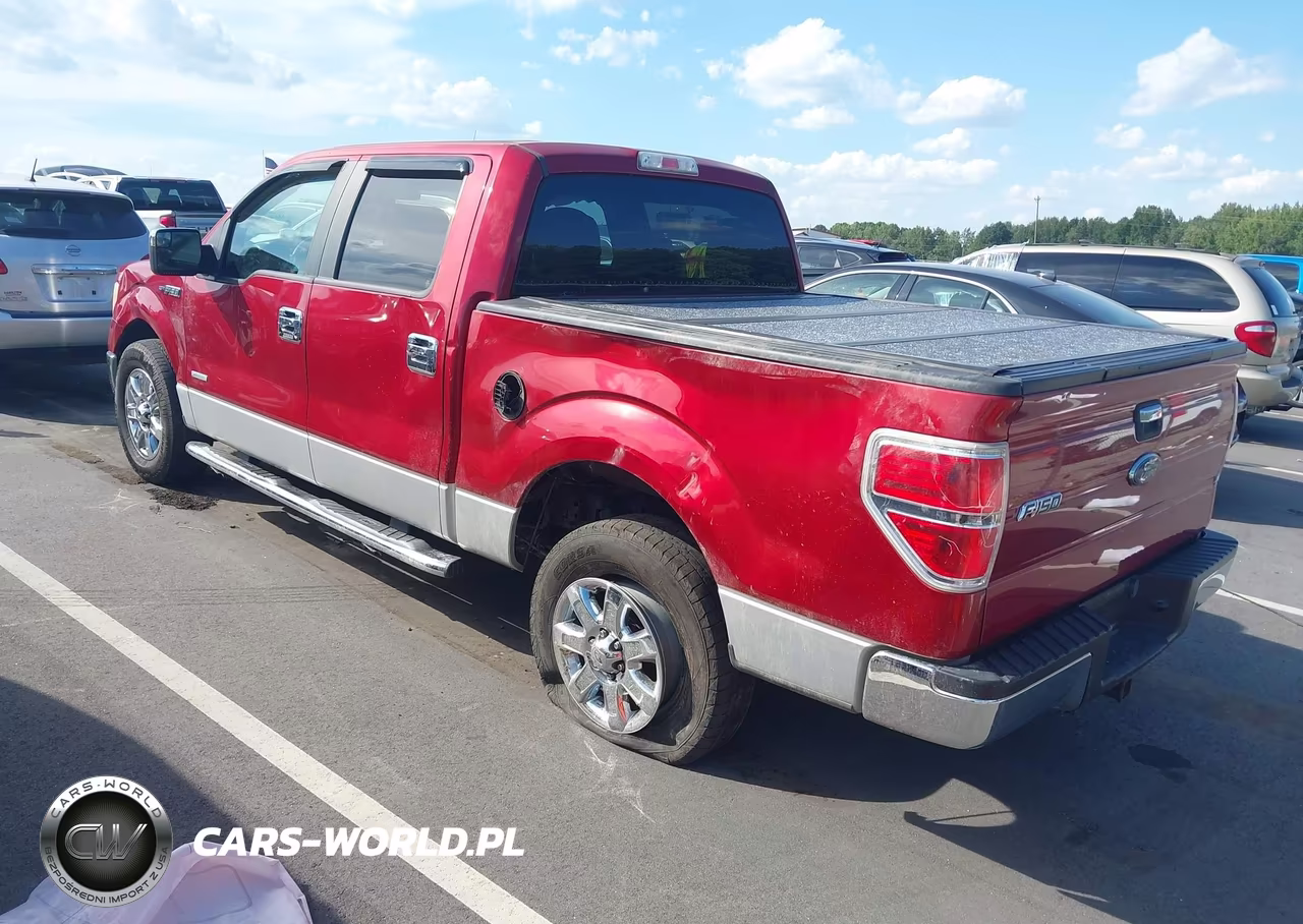 2013 Ford F-150 Xlt VIN:1FTFW1CTXDKG02550 - 3
