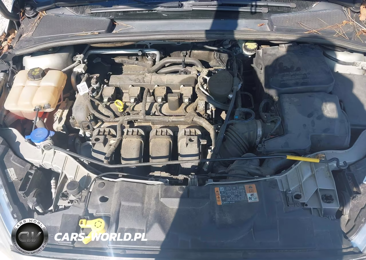 2016 Ford Focus Titanium VIN:1FADP3J20GL223832 - 10