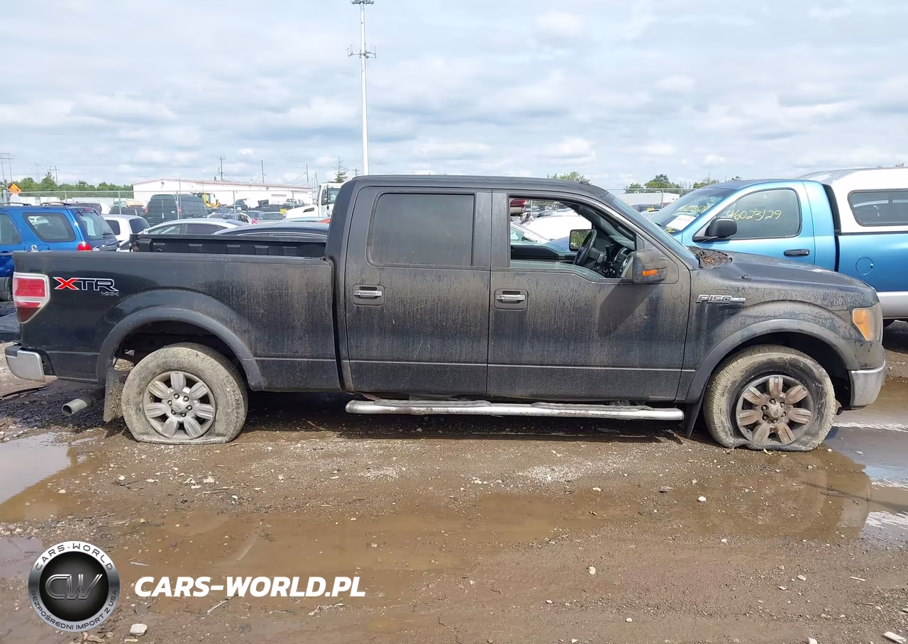 2011 Ford F-150 Xlt VIN:1FTFW1EF6BFA09376 - 14