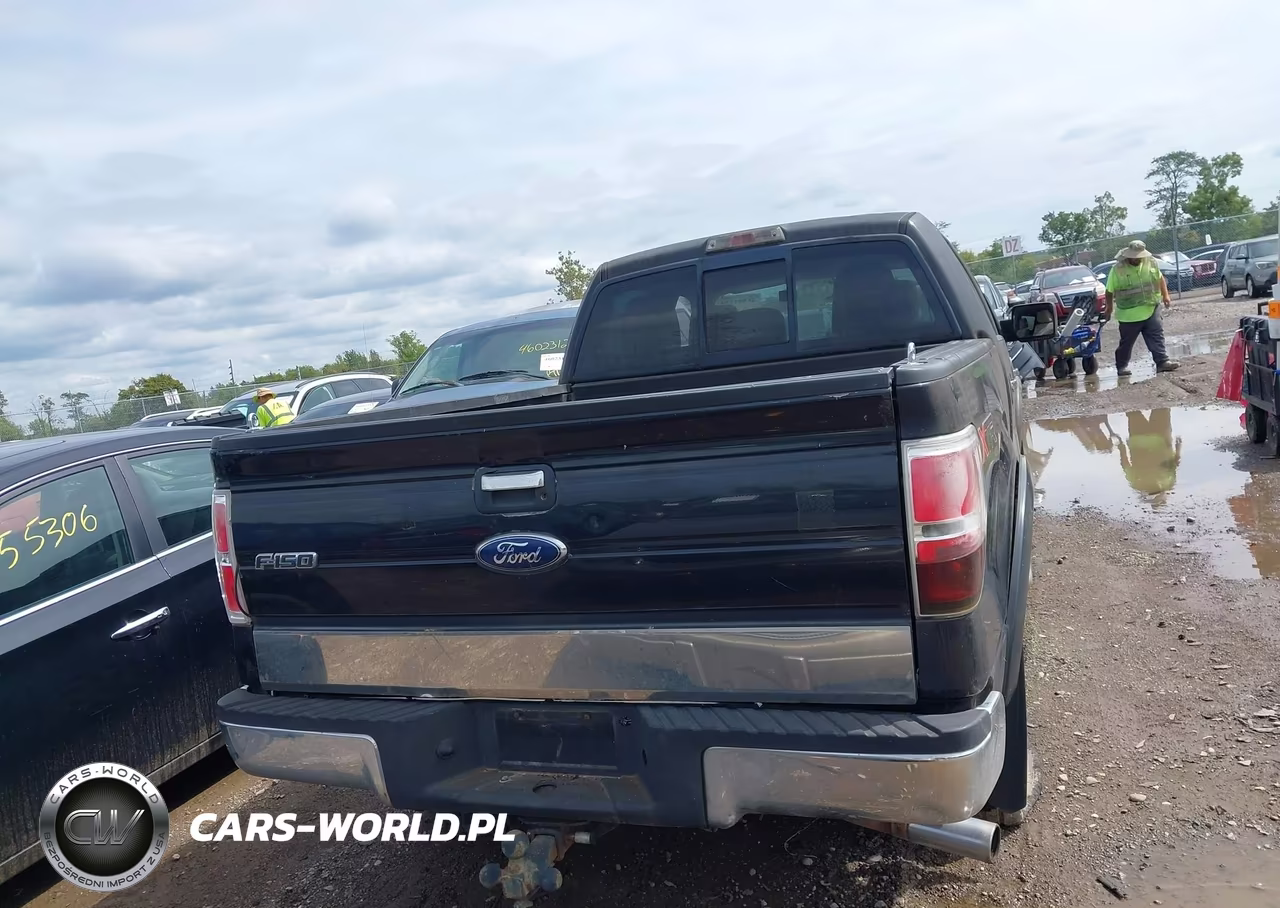 2011 Ford F-150 Xlt VIN:1FTFW1EF6BFA09376 - 17