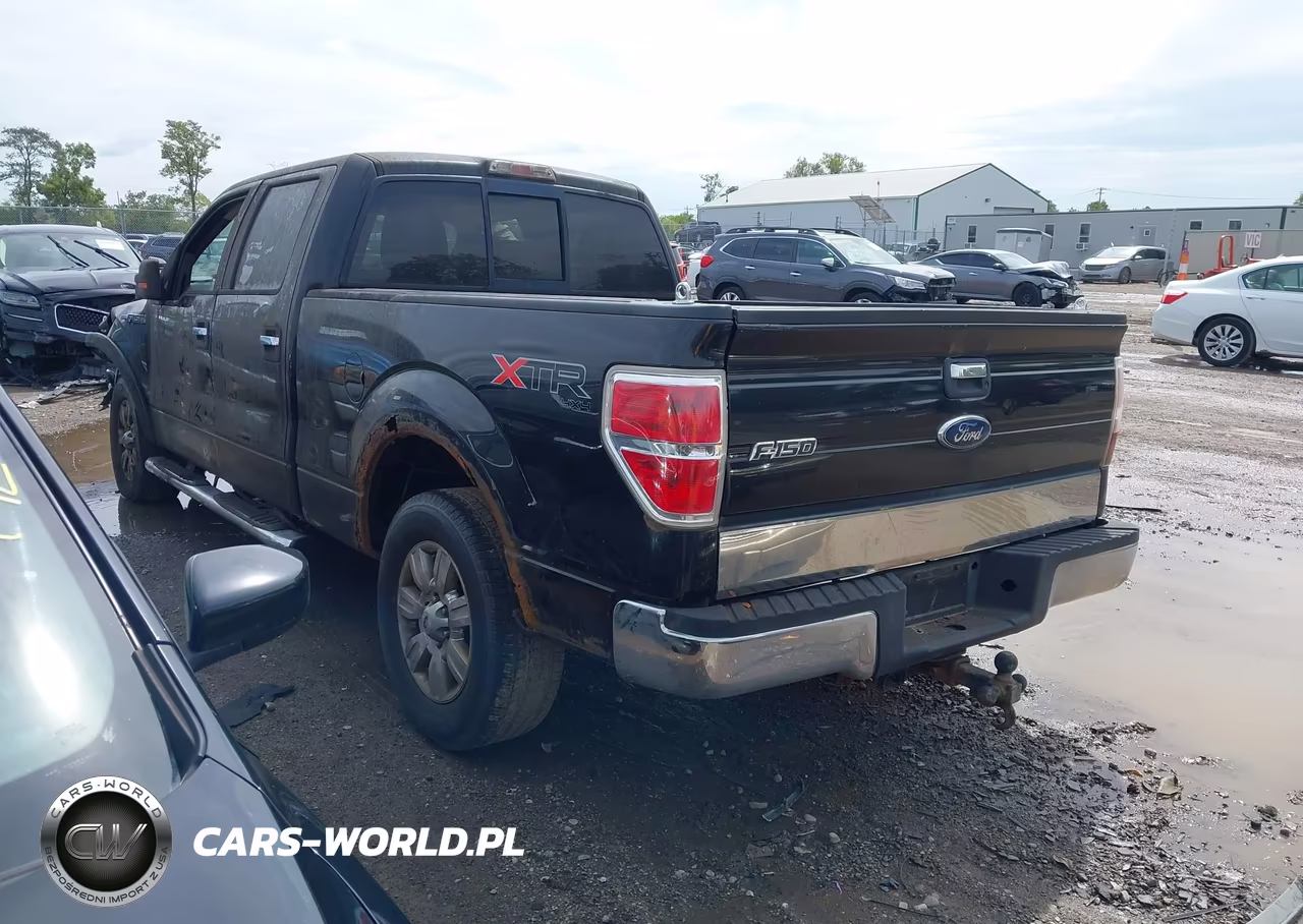 2011 Ford F-150 Xlt VIN:1FTFW1EF6BFA09376 - 3