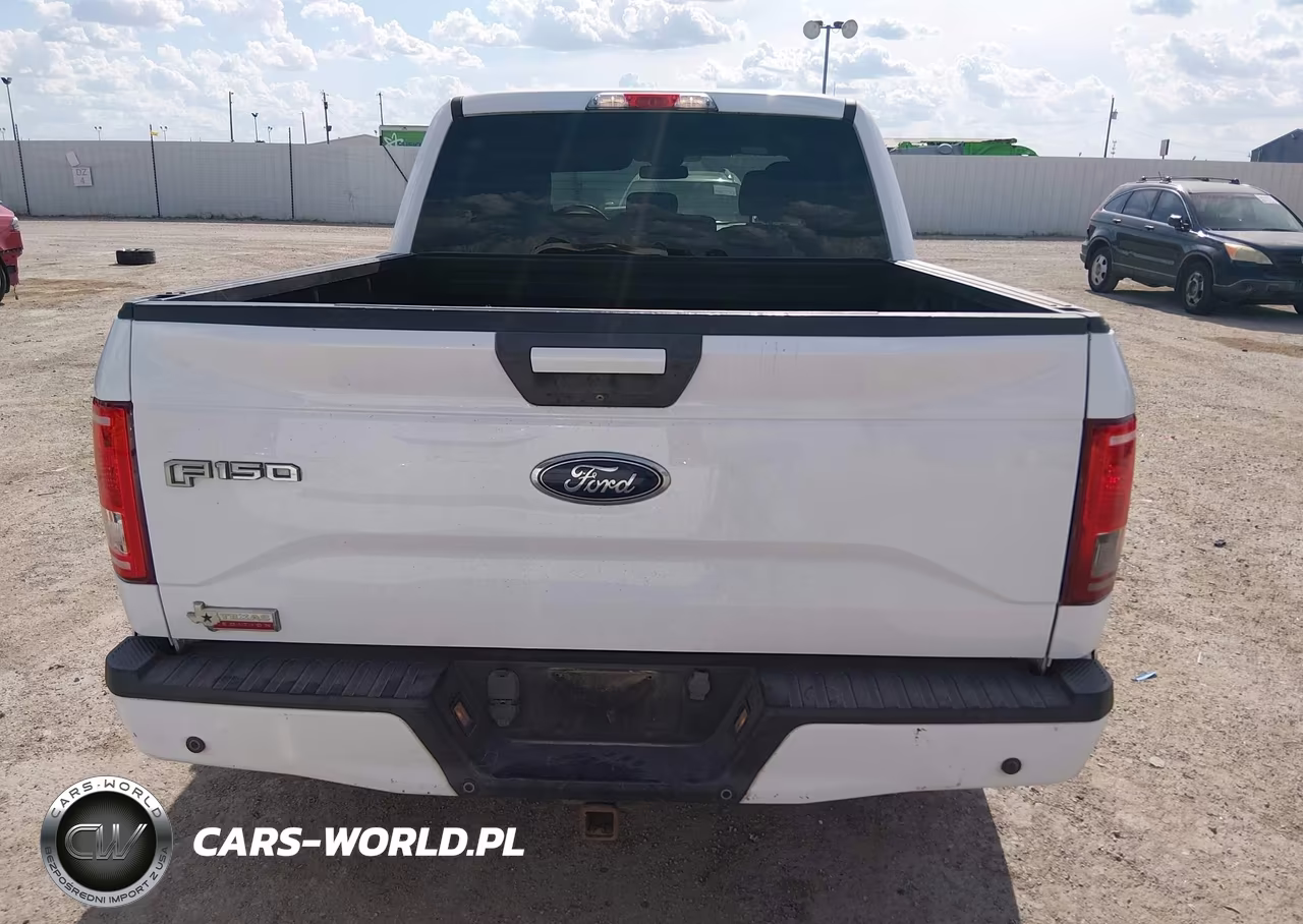 2015 Ford F-150 Xlt VIN:1FTEW1CP1FKF00846 - 16
