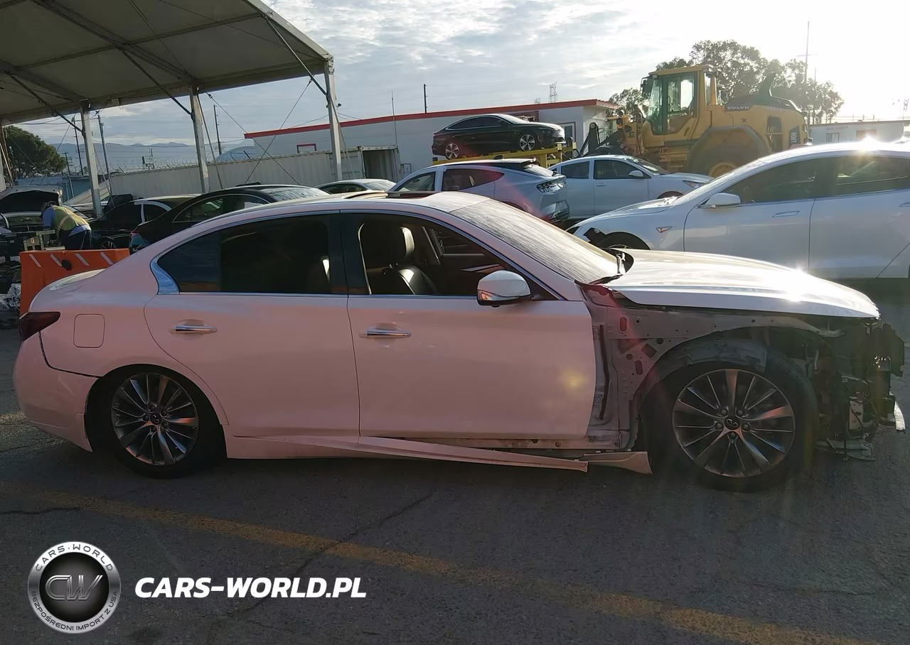 2020 Infiniti Q50 Luxe VIN:JN1EV7AP1LM204494 - 13