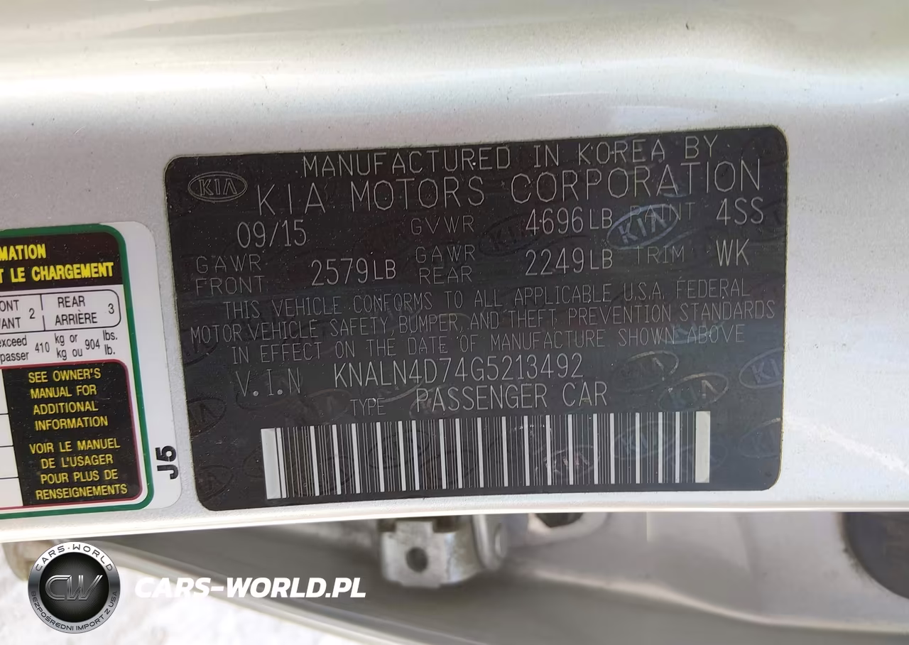 2016 Kia Cadenza Premium VIN:KNALN4D74G5213492 - 9