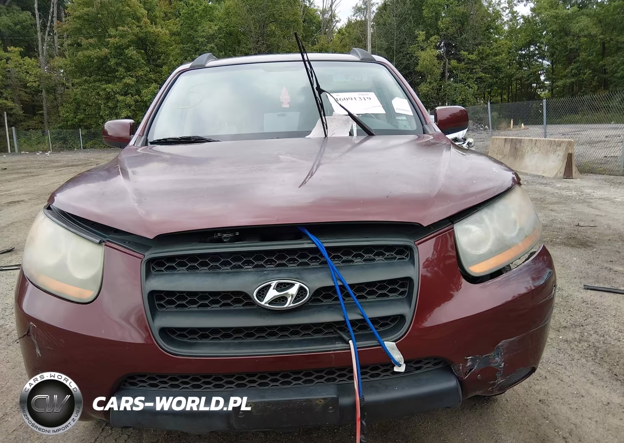 2008 Hyundai Santa Fe Gls VIN:5NMSG73D78H152459 - 10