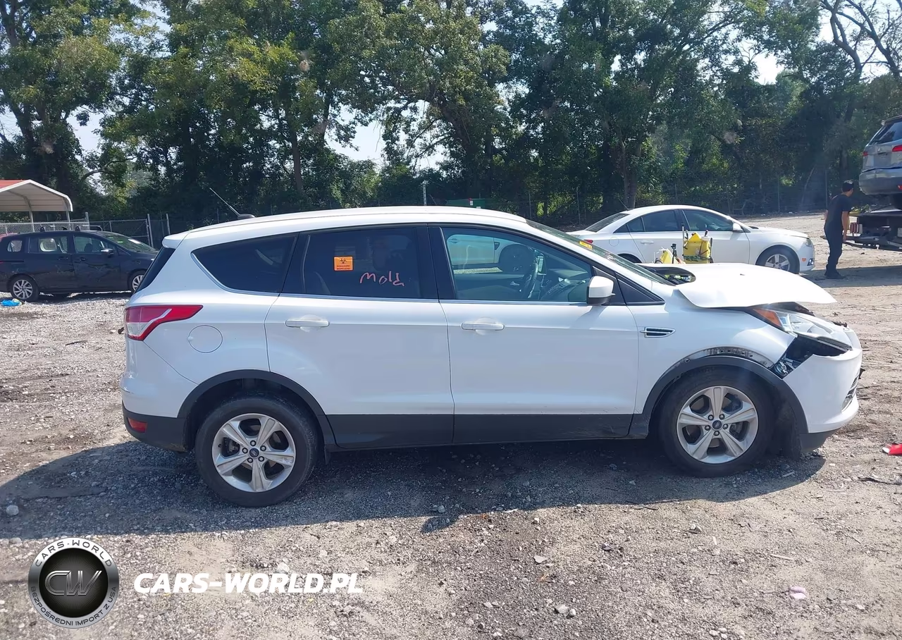 2013 Ford Escape Se VIN:1FMCU9GXXDUA61651 - 13