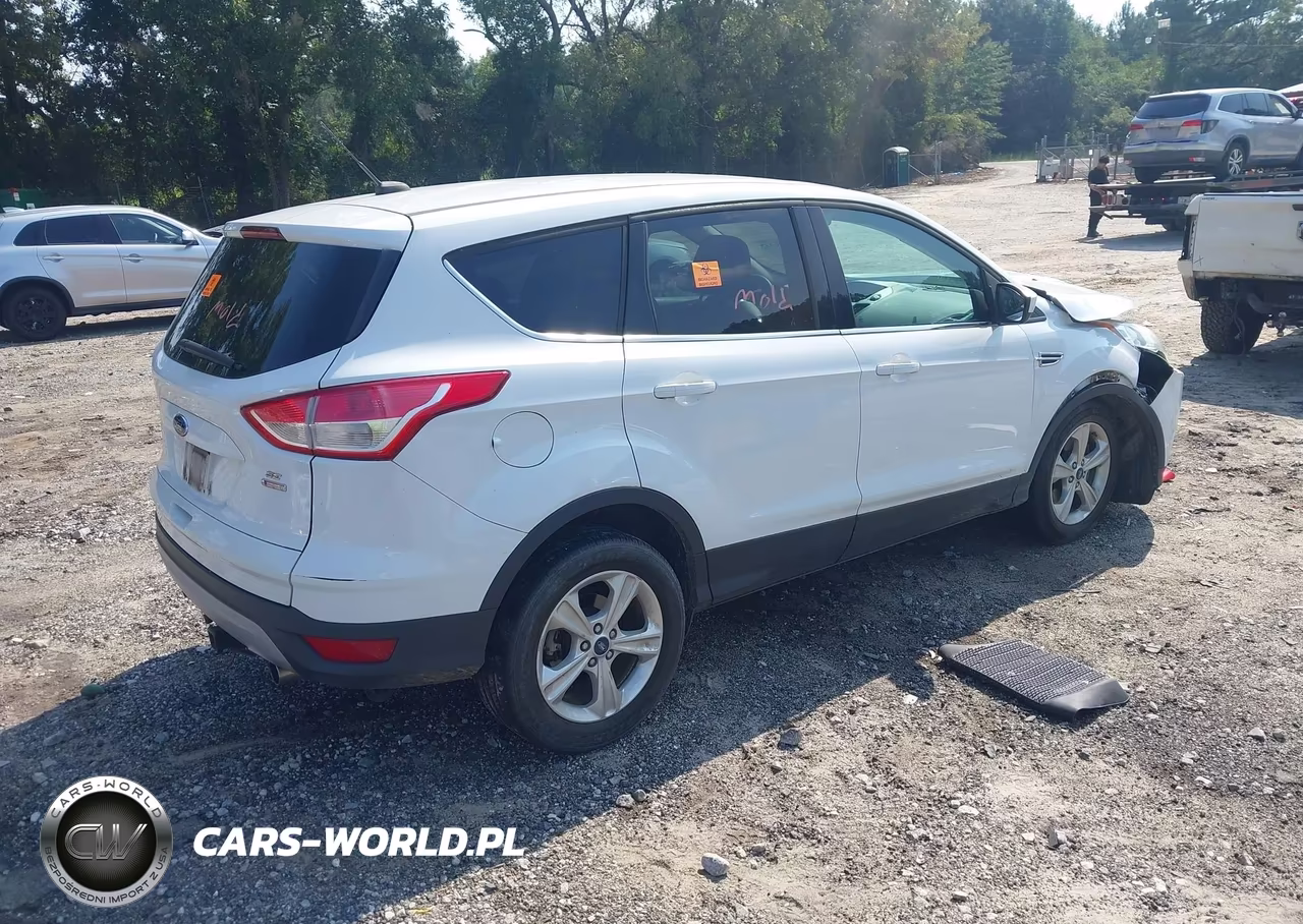 2013 Ford Escape Se VIN:1FMCU9GXXDUA61651 - 4