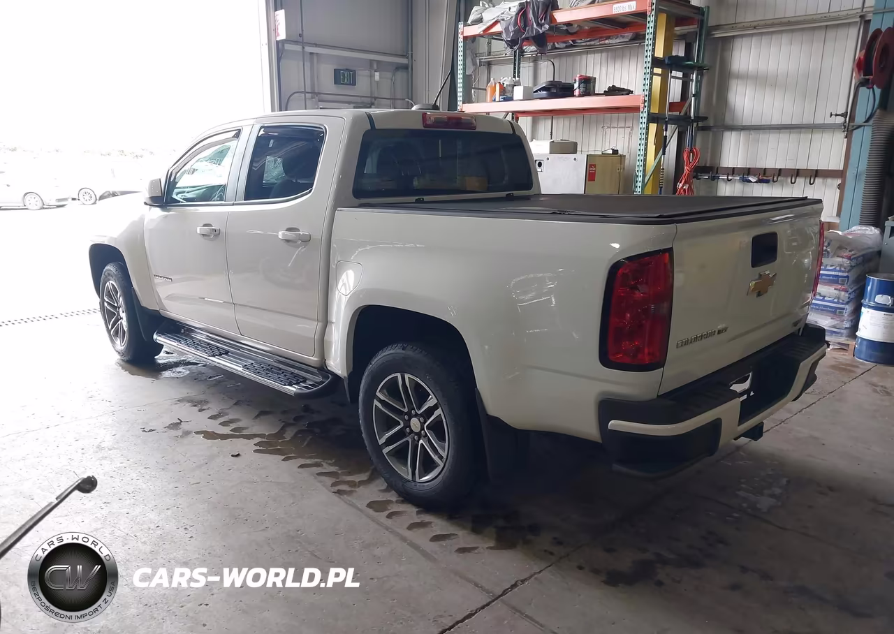 2019 Chevrolet Colorado Wt VIN:1GCGSBEN4K1192772 - 3