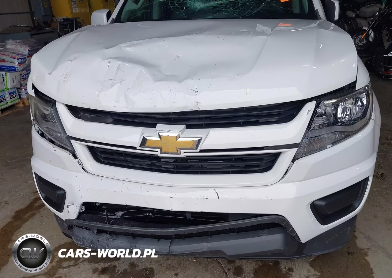 2019 Chevrolet Colorado Wt VIN:1GCGSBEN4K1192772 - 6