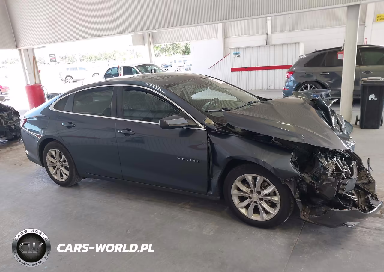 2019 Chevrolet Malibu Hybrid VIN:1G1ZF5SU5KF178546 - 12