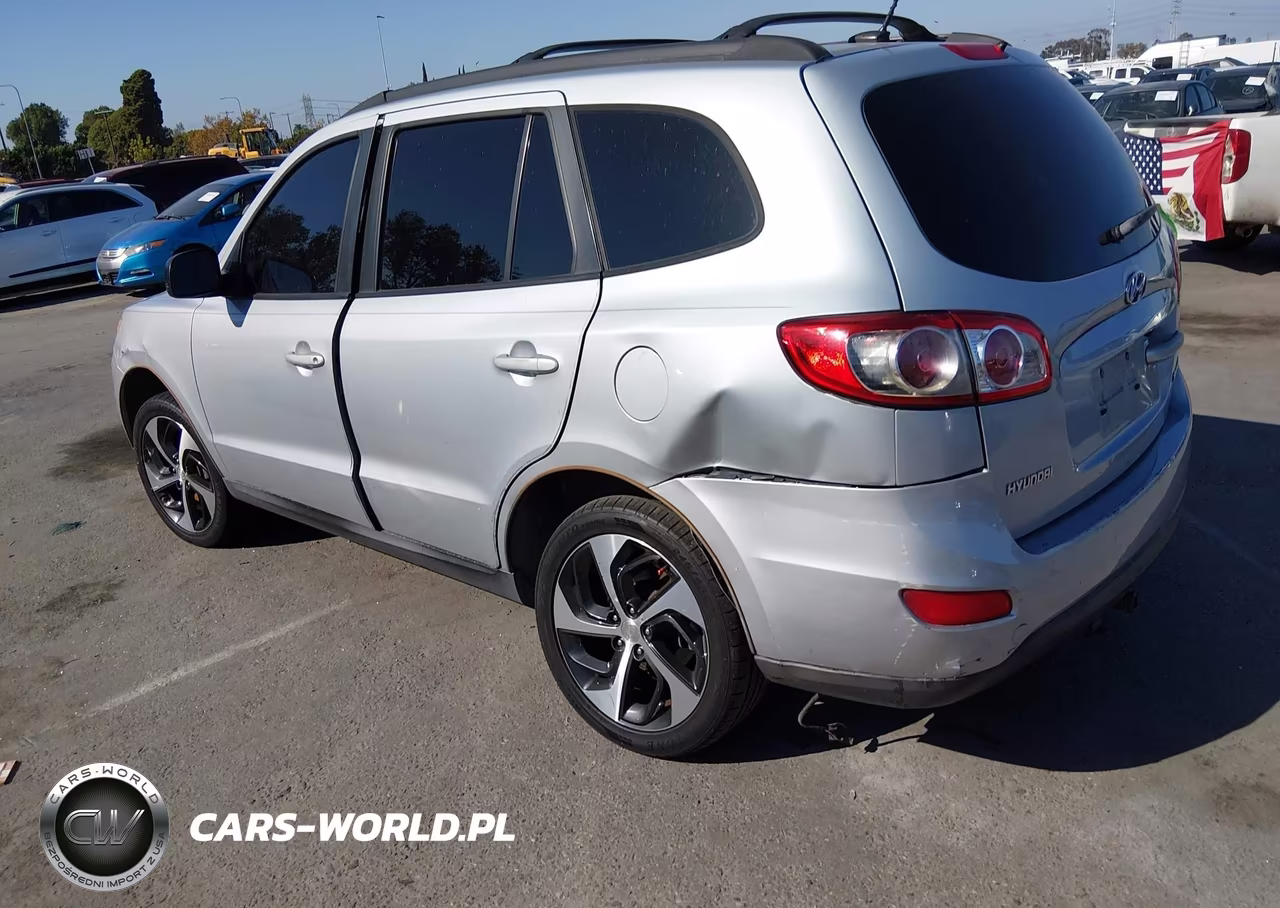 2010 Hyundai Santa Fe Gls VIN:5NMSG3AB9AH346538 - 3