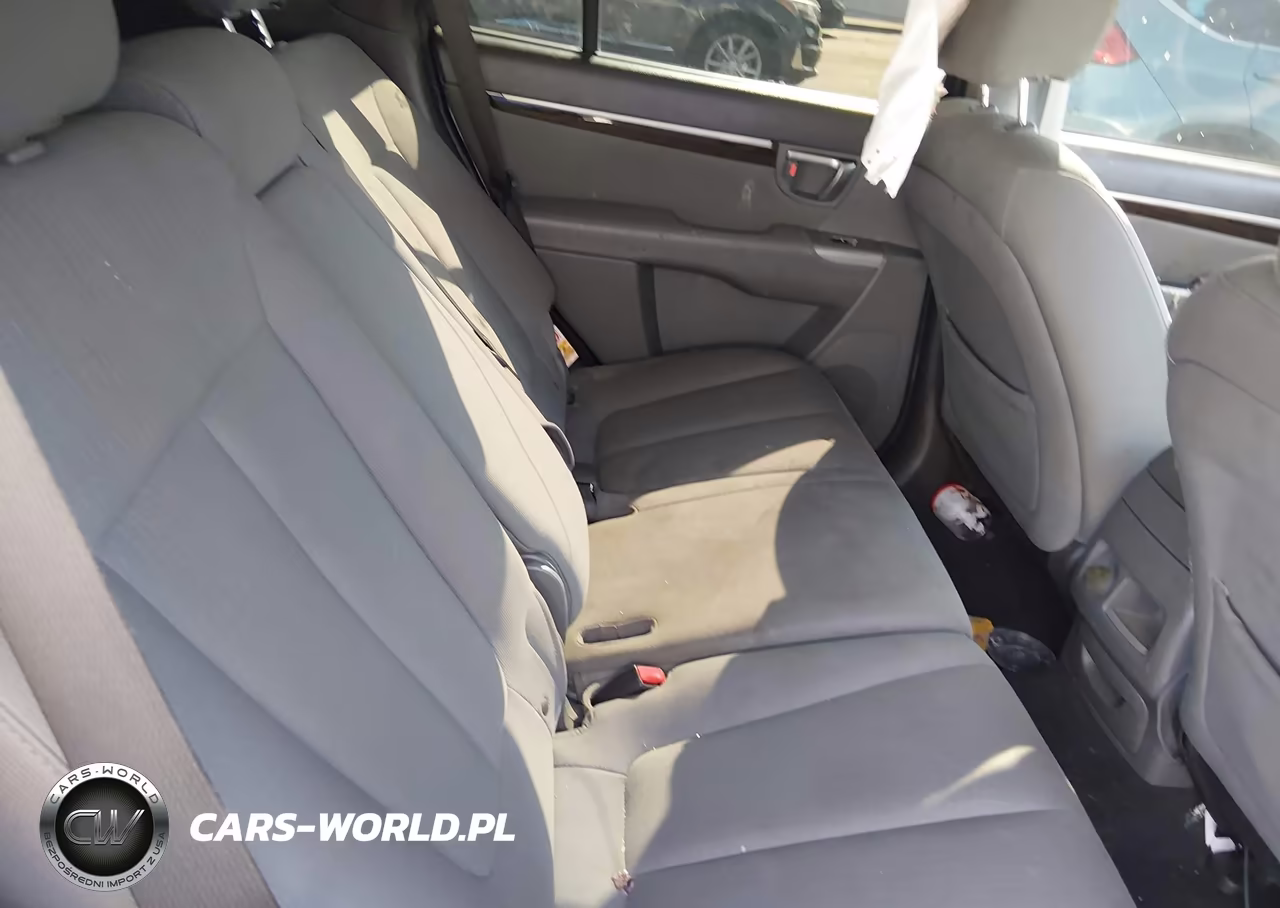 2010 Hyundai Santa Fe Gls VIN:5NMSG3AB9AH346538 - 8