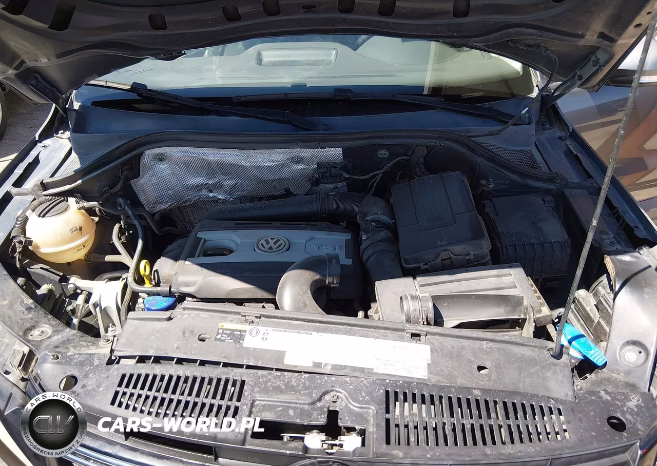 2016 Volkswagen Tiguan S VIN:WVGBV7AX5GW541742 - 10