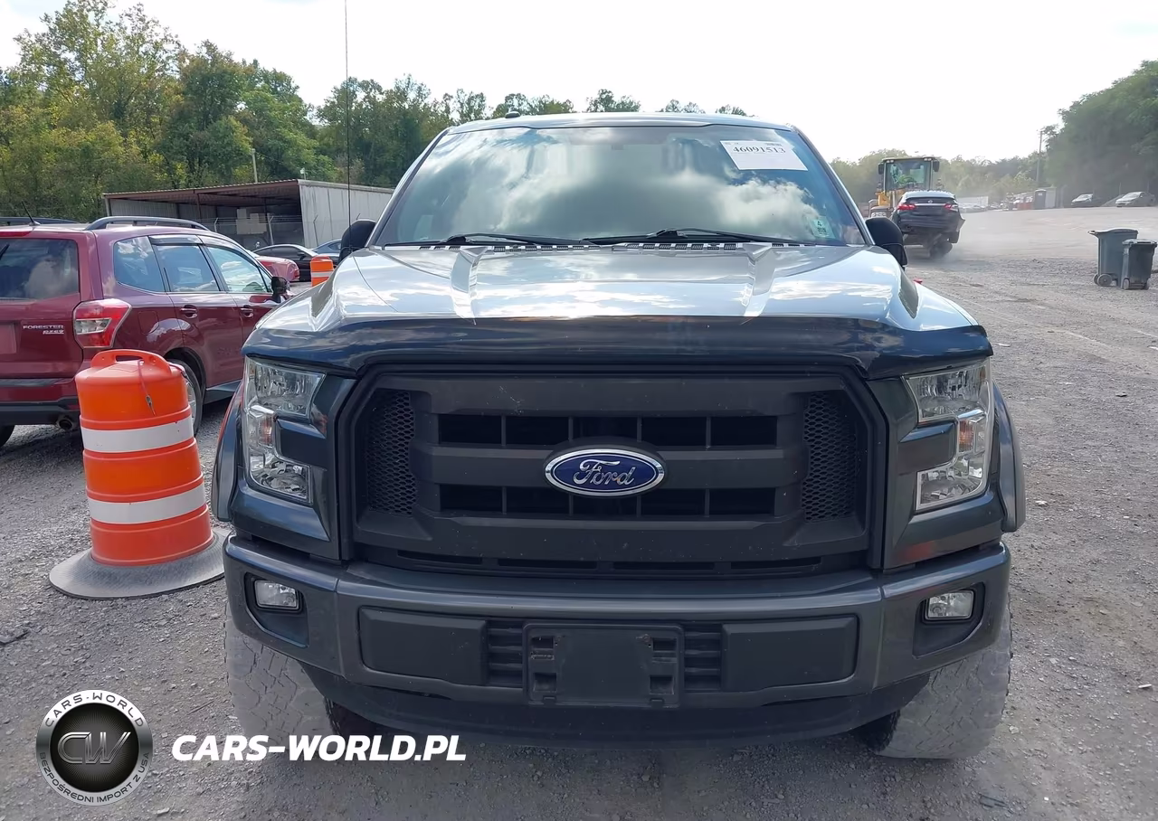 2016 Ford F-150 Xl VIN:1FTEW1EF6GFA29341 - 12