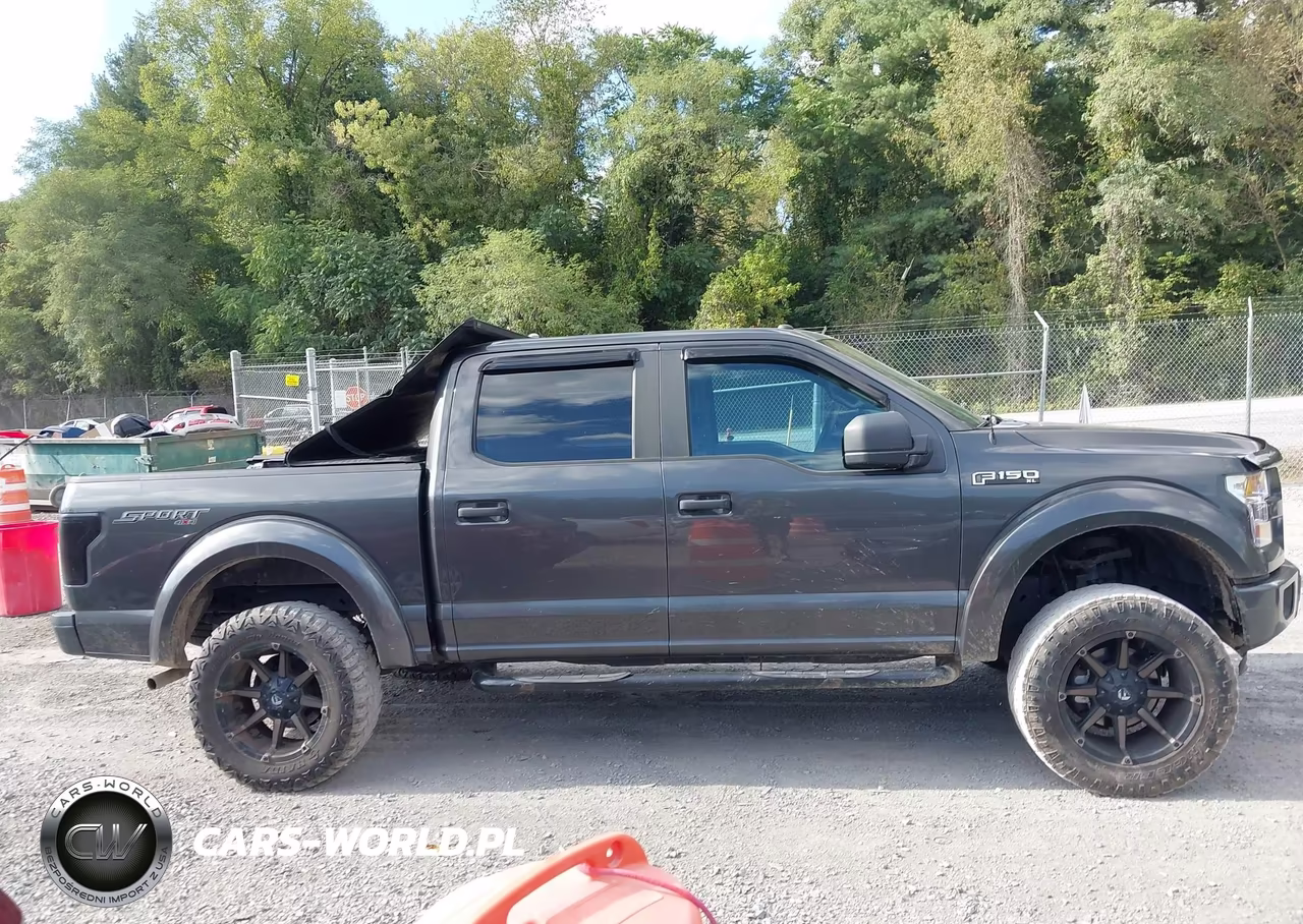 2016 Ford F-150 Xl VIN:1FTEW1EF6GFA29341 - 13