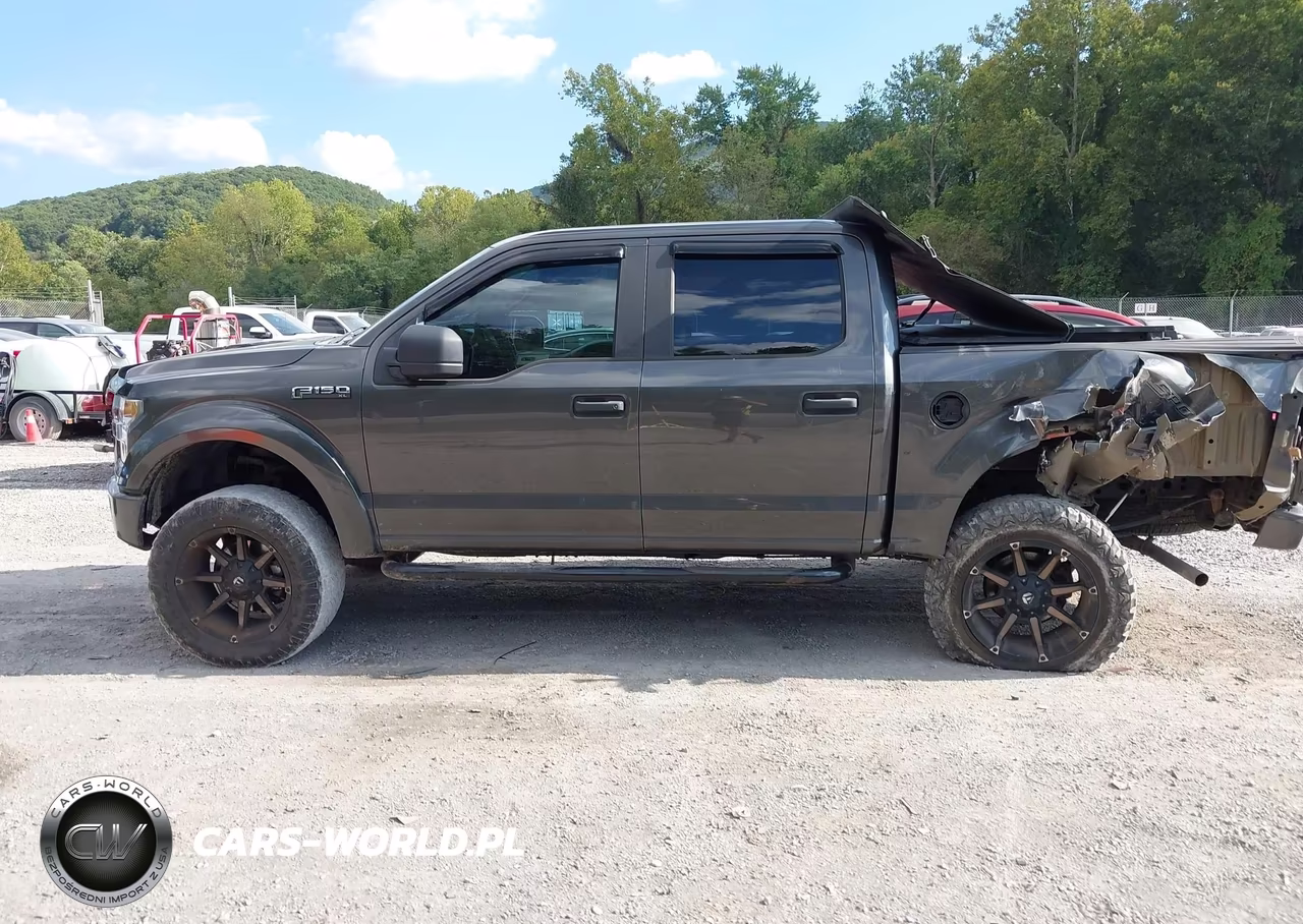 2016 Ford F-150 Xl VIN:1FTEW1EF6GFA29341 - 14